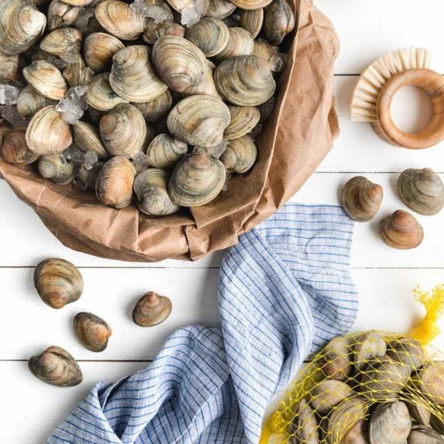 Golden Bai Wei Sand free Dried Clams 100g  (hen kho)