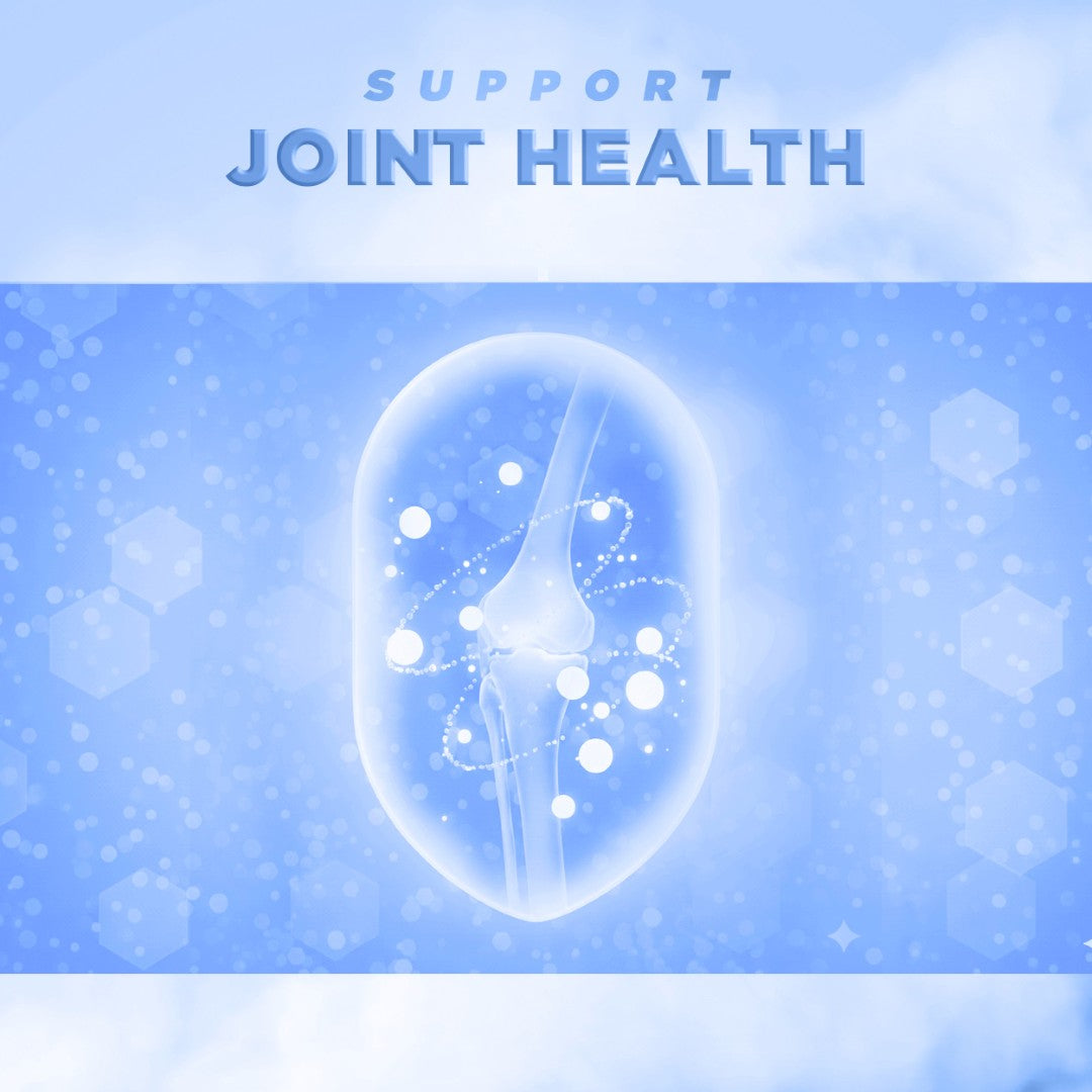 Deepsea Collagen PRO+ 280g by Australian Collagen Lab